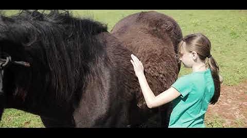 2021 summer reading video