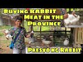 BUYING RABBIT MEAT IN THE PROVINCE | MAGKANO ANG PRESYO NG RABBIT | RABBIT MEAT FARMING