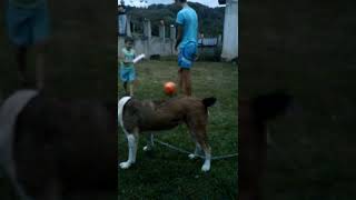 Verisori Mei Mara Aaaaaa Filmat Nu Eu