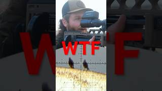 Download Lagu The PERFECT Slug For EXPLODING Pest Birds! MP3