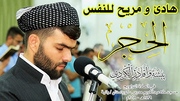 سورة الحجر بصوت القارئ بيشةوا قادر الكردى ... صوت هادئ ومريح للنفس
