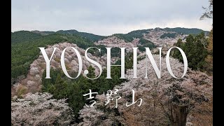 YOSHINO｜Japan｜吉野 ｜4k by Hilarus ヒラルス 7,658 views 1 year ago 2 hours, 44 minutes