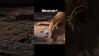 I Am The King Who Are You