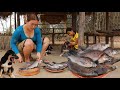 Mommy cooking black fish recipe- Steamed black fish with special taste so delicious of survival