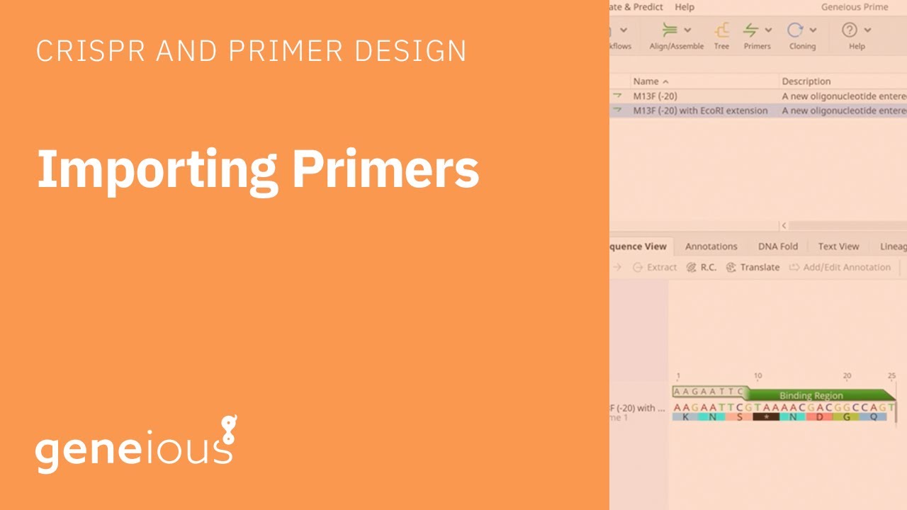 Importing Primers with Geneious Prime YouTube