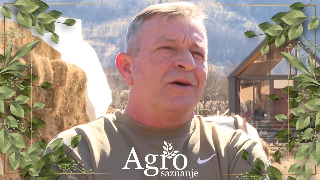   Priče iz Gusinja Zete i Ulcinja - AGOSAZNANJE