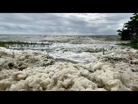 What Causes Foam in the Indian River Lagoon?