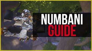 ?►Ana Positioning Guide #15: BEST SPOTS On Numbani