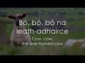 B na leathadhairce  lyrics  translation