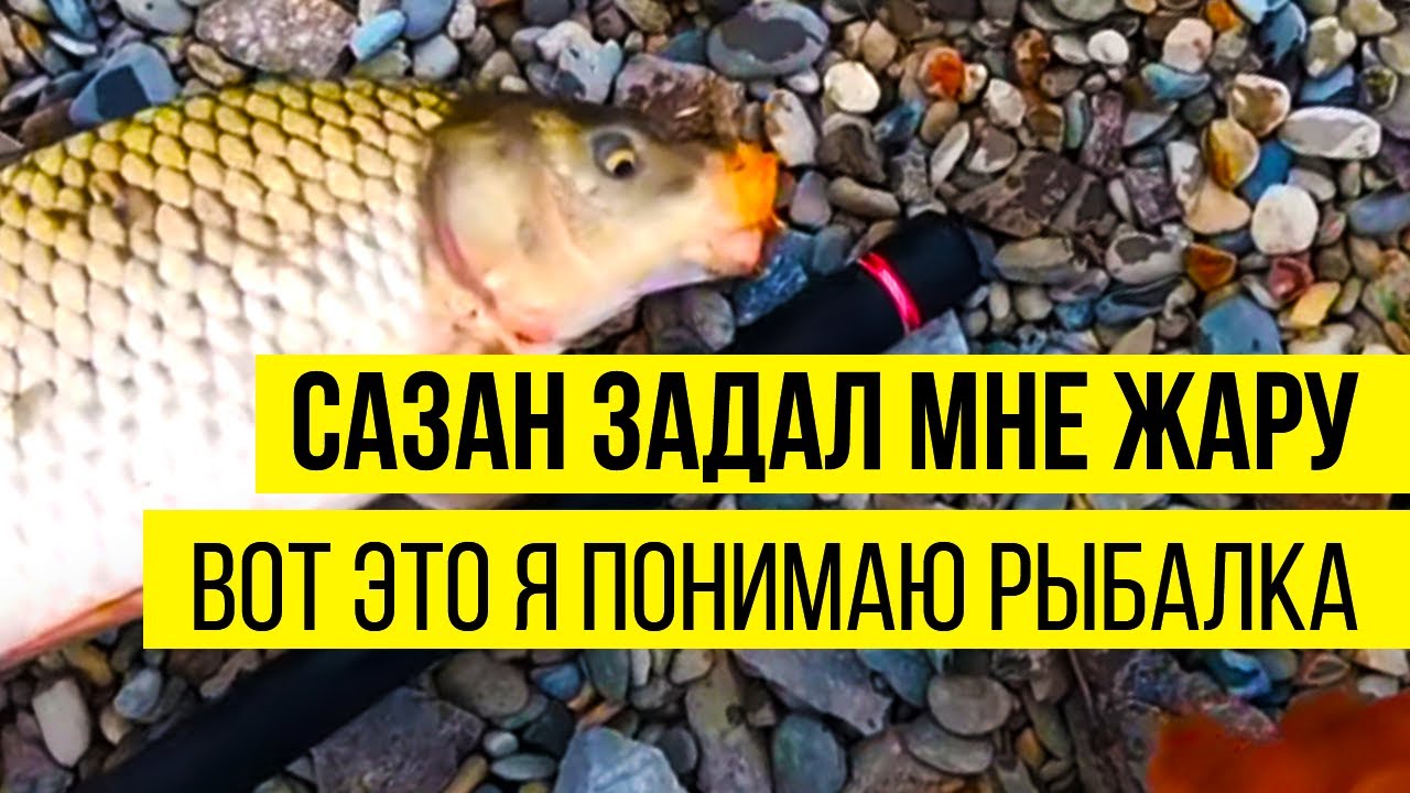 рыбалка на фидер на амуре