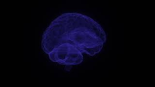 Blue Sci Fi Hud Human Brain Loop Video | Free Video Backgrounds | MD Animated Background