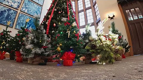 Mini Christmas trees brighten patient rooms at Gay...