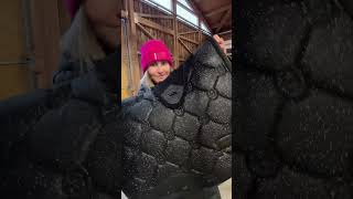 #horse #equestrianjourney #equestrian #horsetrack #pony #ponymalta #riding #funny #reitsport