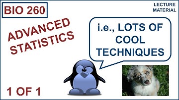 Advanced Statistics: a tour of some techniques
