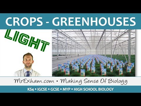 Video: I-crop Ang Greenhouse