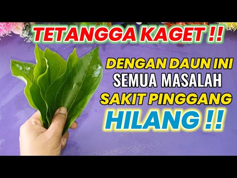 🔴 Gempar !! Sakit Syaraf Kejepit Dan Pinggang Sembuh Total. 