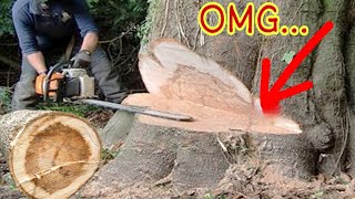 Fastest Skill Cutting Big Tree Chainsaw Machine Tree Cutting Chainsaw Machine