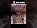 人が亀について知らなかった事実