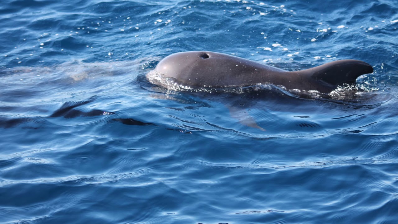 23ème étape Cap sur l'île de La Gomera