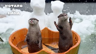 突然の雪に驚くカワウソたちのそれぞれの楽しみ方　Otters Have a Lovely Unexpected Snow Day