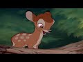 Bambi Thumper teaches Bambi to walk and speak HD