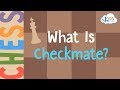 Chess Checkmate Strategies and Concepts