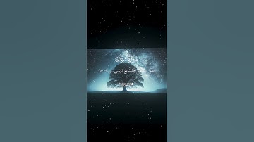 #quran #راحة_نفسية #تلاوة_خاشعة #تلاوة_هادئة #قران #قران_كريم #محمد_اللحيدان #اكسبلور #النظافه