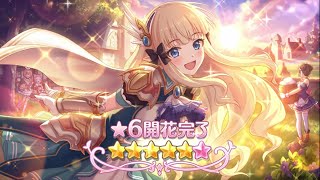 Princess Connect Re:Dive - Saren 6* quest!