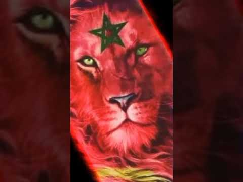 هم دول نجوم الاطلس ونجوم العرب 