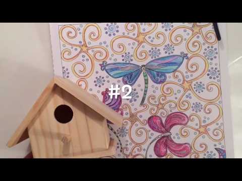 diy-bird-house-adult-coloring-pages.-crafts-for-after-you've-colored-zen-book-crafty-conjuring