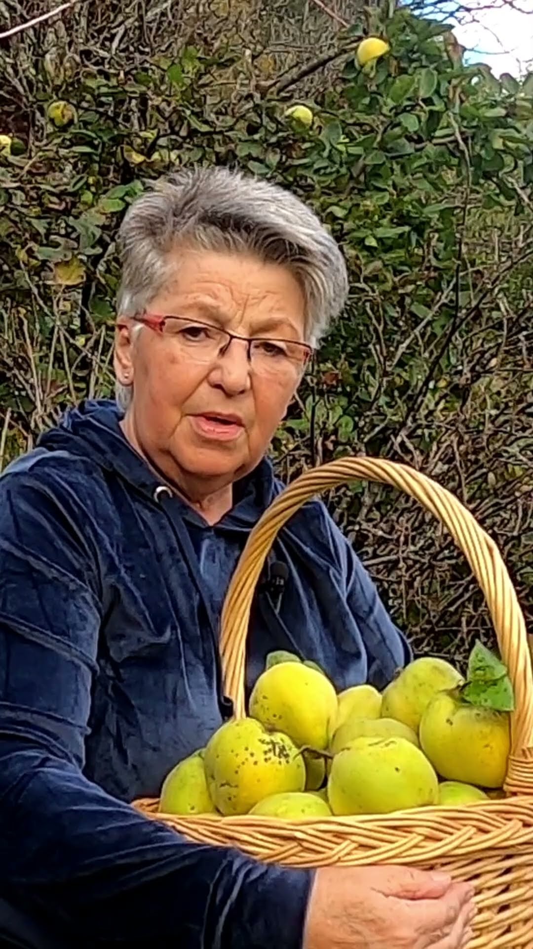 Oma Betty die Quitten sind reif / Quittengeleé herstellen - YouTube