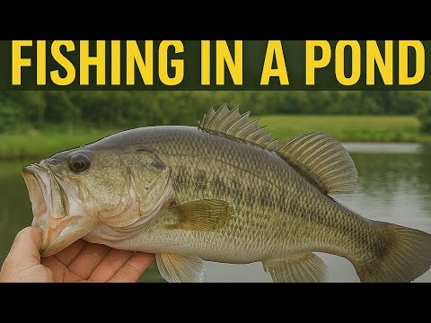 Spring Time Bass: Pond Series EP:2
