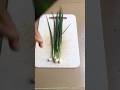 #trending #vegetablecutting #shorts #shortsfeed #shortvideo #shortsviral #youtubeshorts #satisfying