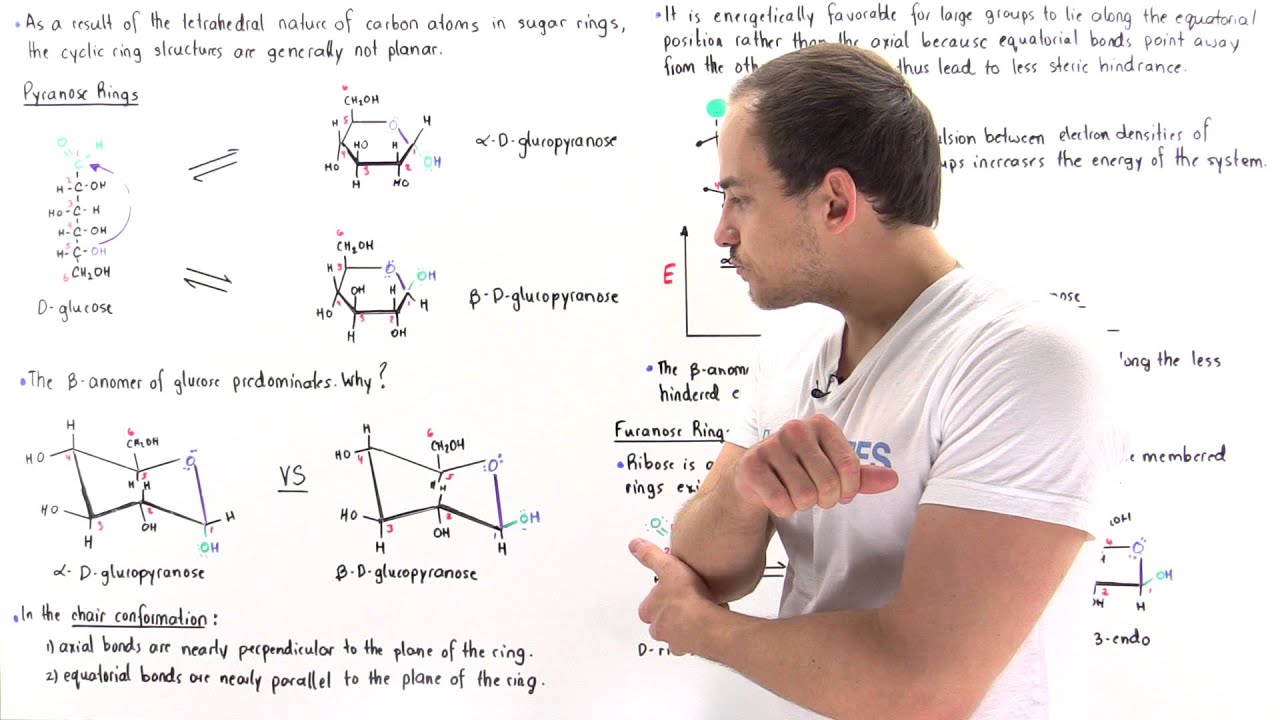 Converting Fischer, Haworth, and Chair forms of Carbohydrates - Chemistry  Steps