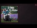 Full Song: TU MILA TO HAINA De De Pyaar Mp3 Song