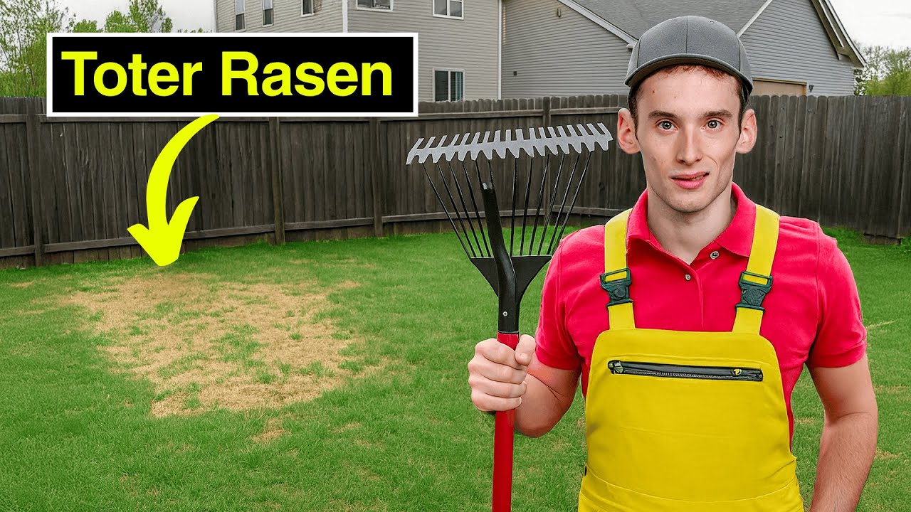 99% ruinieren ihren Rasen mit genau diesem einen Fehler