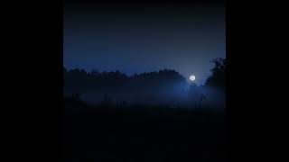 SUMMER NIGHT • A Natural Tinnitus Sound Masker