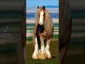 @ShantaIslam-e4ntwo🦜❤️🦜 Bird's#blog#L ❤️vely horse#views_viral_video_subscribers_grow