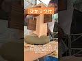 ひかりつけに宮大工塾生がチャレンジしてみた