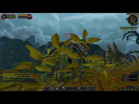 World of Warcraft 2021 gameplay part 1