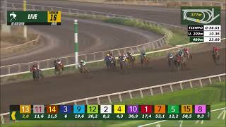 Vidéo de la course PMU PECCATORE H.