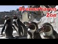 Bremerhaven Zoo / Зоопарк в Бремерхафене