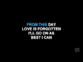 Goodbye To Love in the style of Carpenters karaoke video lyrics