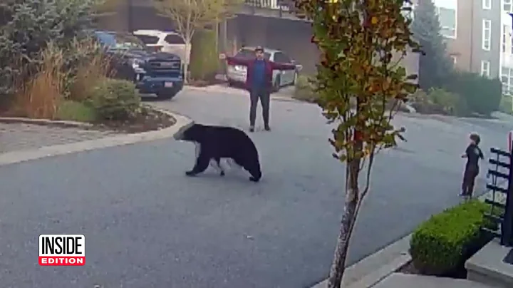 7 Year Old Encounters Massive Bear While Riding Scooter in British Columbia Canada