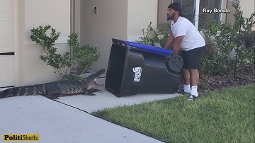 Man Catches Alligator In Trash Can Releases It Back To The Water