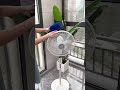 Video Image