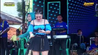 WAYU DEMENAN // CITRA NADA LIVE DESA PULOGADING // BULAKAMBA - BREBES