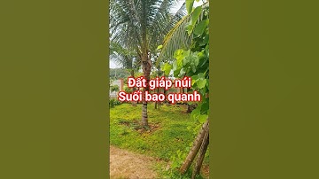 Đất giáp núi, suối bao quanh đẹp mê ly #bdsthiennhan #bandat