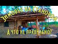 НОВАЯ ОХОТНИЧЬЯ ИЗБА НА СТАНОВОМ ХРЕБТЕ. А ЧТО В НЕЙ НЕ ПРАВИЛЬНО?