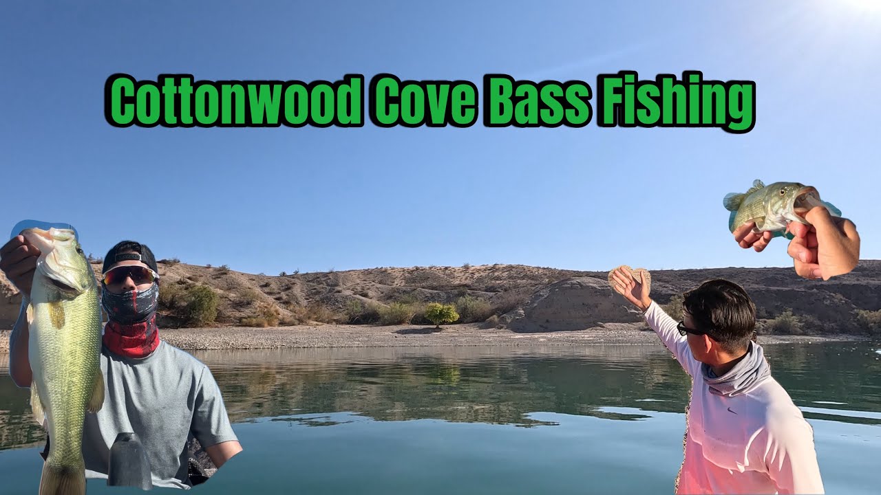 Pre-Fishing Cottonwood Cove – Bass Tournament Prep